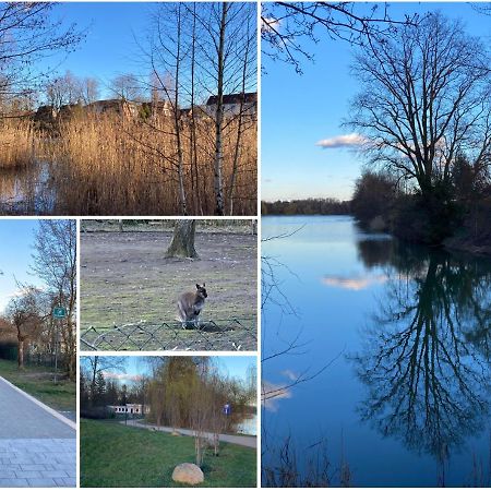 Ferienwohnung am Jahnteich Weißwasser/Oberlausitz Exterior foto