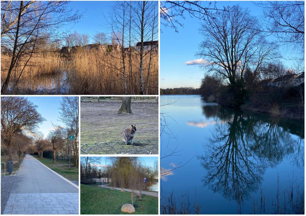 Ferienwohnung am Jahnteich Weißwasser/Oberlausitz Exterior foto